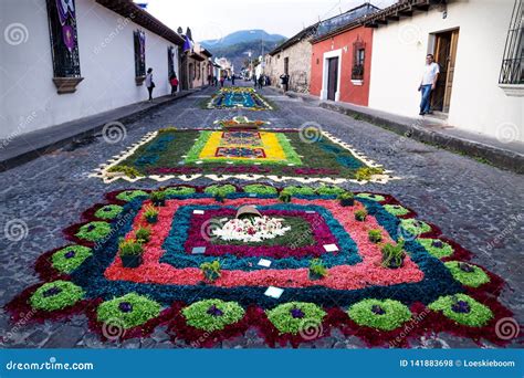 Alfombras De La Flor De Alfombre En Las Calles Cobbled A Lo Largo De