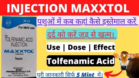 Tolfenamic Acid Injection Tolfenamic Acid 40 Injection Maxxtol