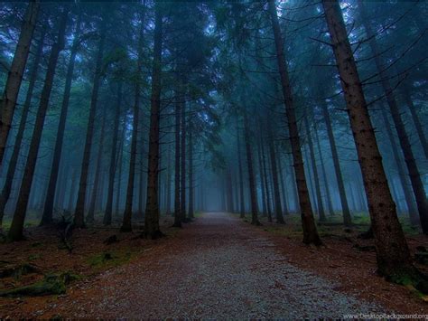 Wallpapers: Twilight Forest Desktop Background