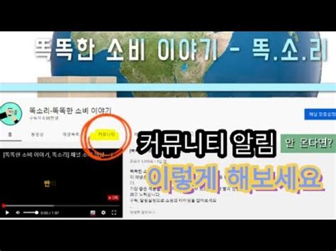 유튜브 커뮤니티 알림 설정 방법 YouTube