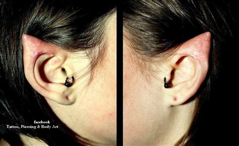 Elf Ear Body Modification Pinterest