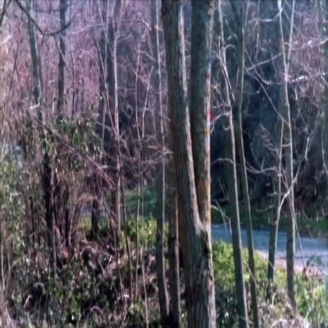 Women In Cell Block Retro Retro Porn Xhamster