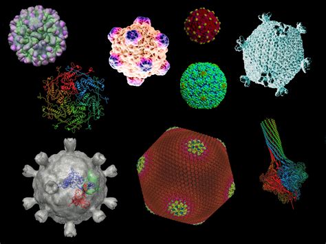 Viral Discovery Doe Joint Genome Institute