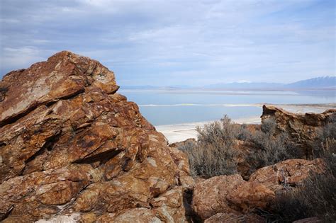 Great Salt Lake Antelope Island - Free photo on Pixabay - Pixabay