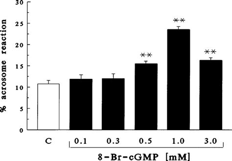 Effect Of Bromo Cgmp Brcgmp On Acrosome Reaction In Human