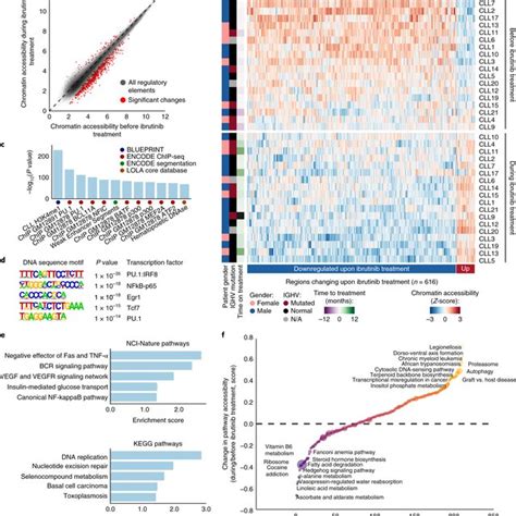 Chromatin Accessibility Mapping For Matched Cll Patient Samples