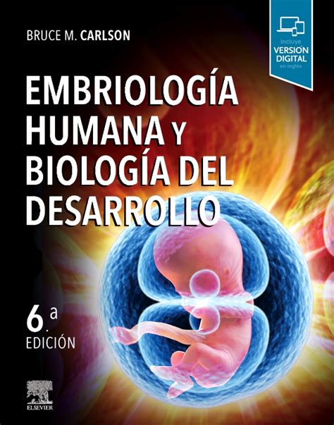 Embriología humana y biología del desarrollo Edition 6 By Bruce M