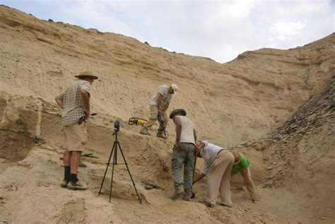 Cient Ficos Espa Oles De Atapuerca Excavan Por Primera Vez Un