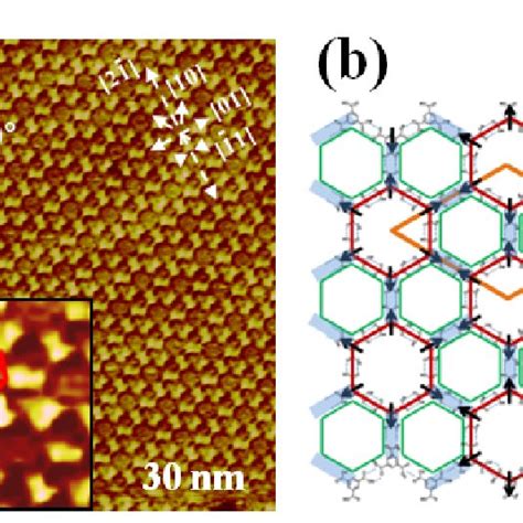 The Tma Network On Au A An Stm Image With An Inset Of A