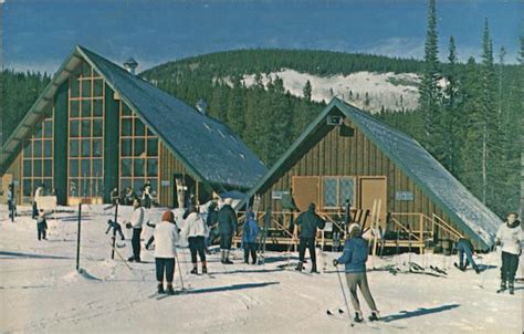 Medicine Bow Ski Area Centennial, WY Postcard