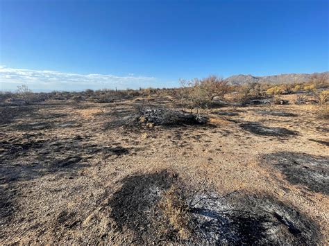 Diamond Fire Mcdowell Sonoran Conservancy Concerned For Keystone