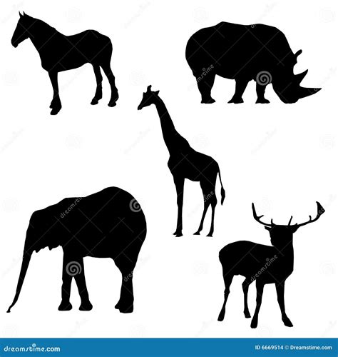 Zoo Animal Silhouettes stock illustration. Illustration of mammal - 6669514