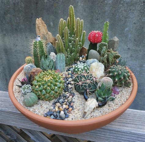 17 Miniature Succulent Garden Ideas To Try This Year Sharonsable