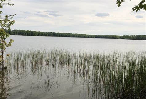 Les Municipalités Souhaitent Une Confirmation De Ce Refuge Faunique L