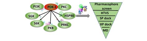 Insilico molecular modelling to identify PDK-1 targeting agents based ... 
