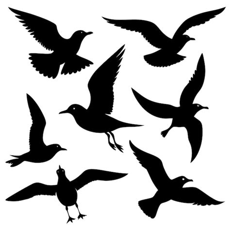 Premium Vector Seagull Silhouettes On A White Background