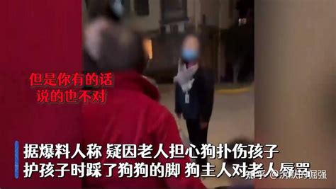 江苏女子遛狗不牵狗绳，吓到老人孩子起冲突，狂骂老人“老不死” 知乎