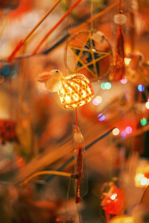 Ngắm nhìn chiếc lồng đèn hot trend 2023 thu hút giới trẻ mùa Trung thu