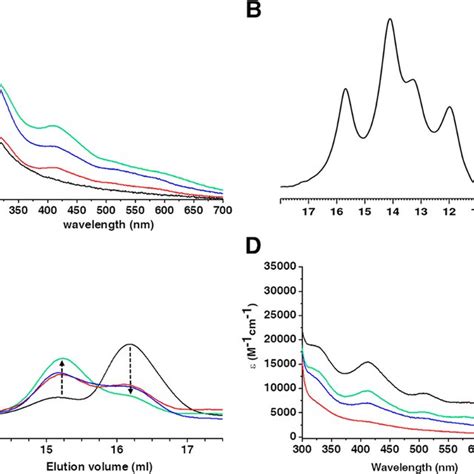 NUBP1 Binds 4Fe4S 2 Clusters At Both N Terminal And C Terminal