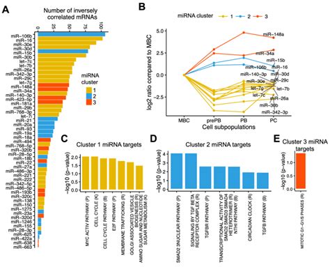 Inferring Mirna Targets And Identification Of The Canonical Pathways