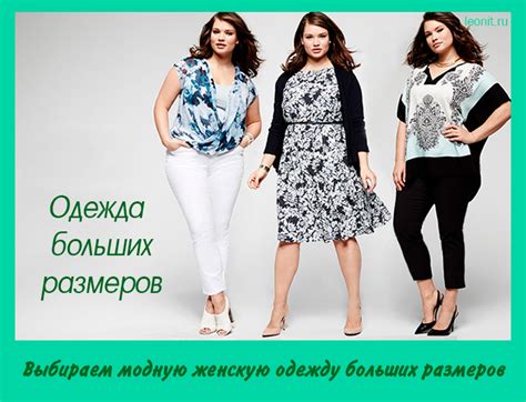 Выбираем модную женскую одежду больших размеров