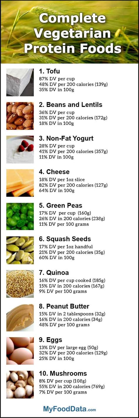 20 Ideas for Vegetarian Protein Rich Foods – Best Diet and Healthy Recipes Ever | Recipes Collection