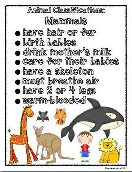 Mammals Characteristics For Kids - Pets Lovers