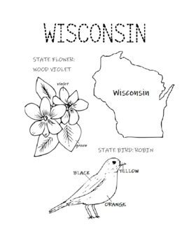 Wisconsin State Flower Coloring Page Coloring Pages