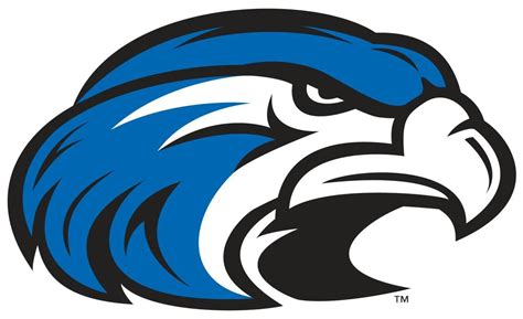 Hawks Baseball Logo Logodix