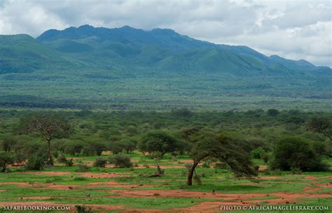 Tsavo West National Park – Travel Guide, Map & More!