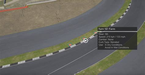 Assetto Corsa Competizione Silverstone Track Guide