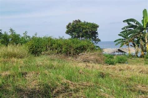 Sq M Cliff Side Lot For Sale In Sinandigan Ubay Bohol Land For