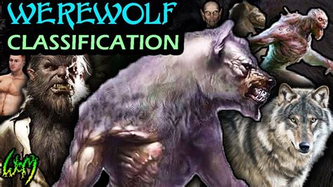 Every Type Of Werewolf Werewolf Classification Youtube