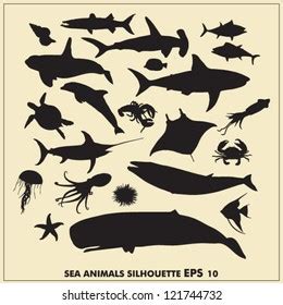 Sea Animals Silhouette Stock Vector (Royalty Free) 121744732 | Shutterstock