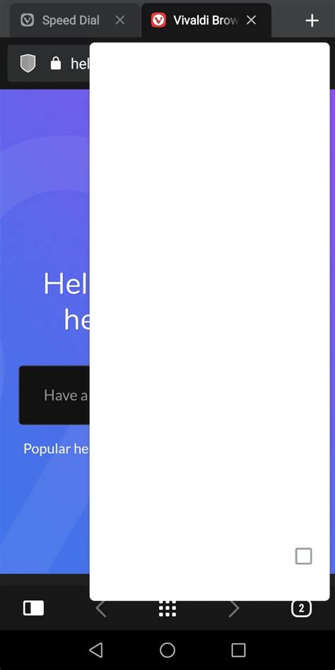 light theme  dark theme  question   rvivaldibrowser