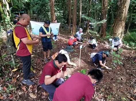 ASEAN EU Conducts Tree Planting At The Makiling Botanic Gardens An