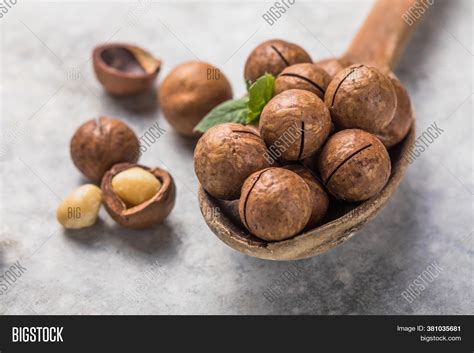 Pile Macadamia Nuts Image & Photo (Free Trial) | Bigstock