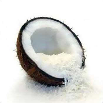 Dry Coconut Powder at Best Price in Coimbatore, Tamil Nadu | Kopler ...