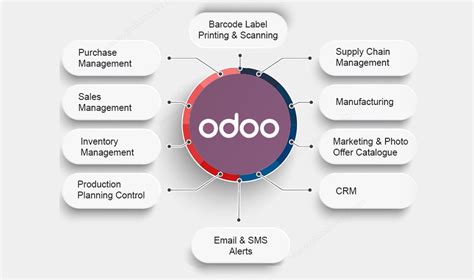 The Best Odoo Features That Maximize Business Potential