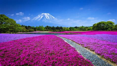 Japan Landscape Wallpapers - 4k, HD Japan Landscape Backgrounds on ...