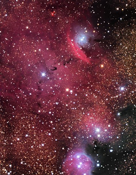 Emission Nebula Ngc 6559 By Robert Gendler Science Photo Library