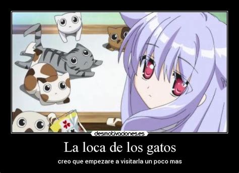 La Loca De Los Gatos Desmotivaciones