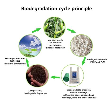 Biodegradable Plastics Extruder Cowin Extrusion