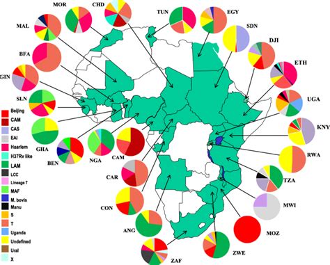 Molecular Epidemiology Of Drug Resistant Mycobacterium Tuberculosis In