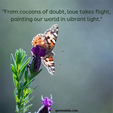 Uplifting Butterfly Quotes to Inspire Transformation 2024