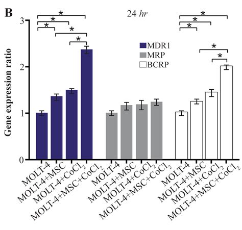 B Real Time Pcr Data For Molt 4 Cells Mdr1 Mrp And Bcrp Genes Download Scientific Diagram