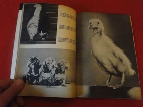 Vintage Erotic Sexy Adult Nude Pinup Magazine Prize Winning Photography P53 EBay