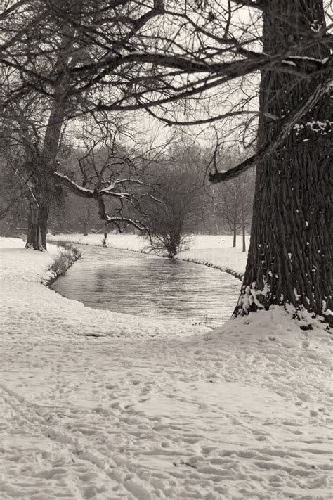 Winter Landscape in Black and White Stock Photo - Image of landscape, fairytale: 33764122