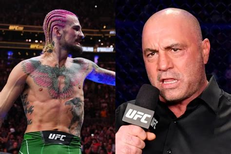 UFC: Sean O'Malley Defends Joe Rogan Following Jaw-dropping Comments ...