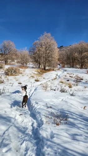 Best Hikes And Trails In South Weber Alltrails